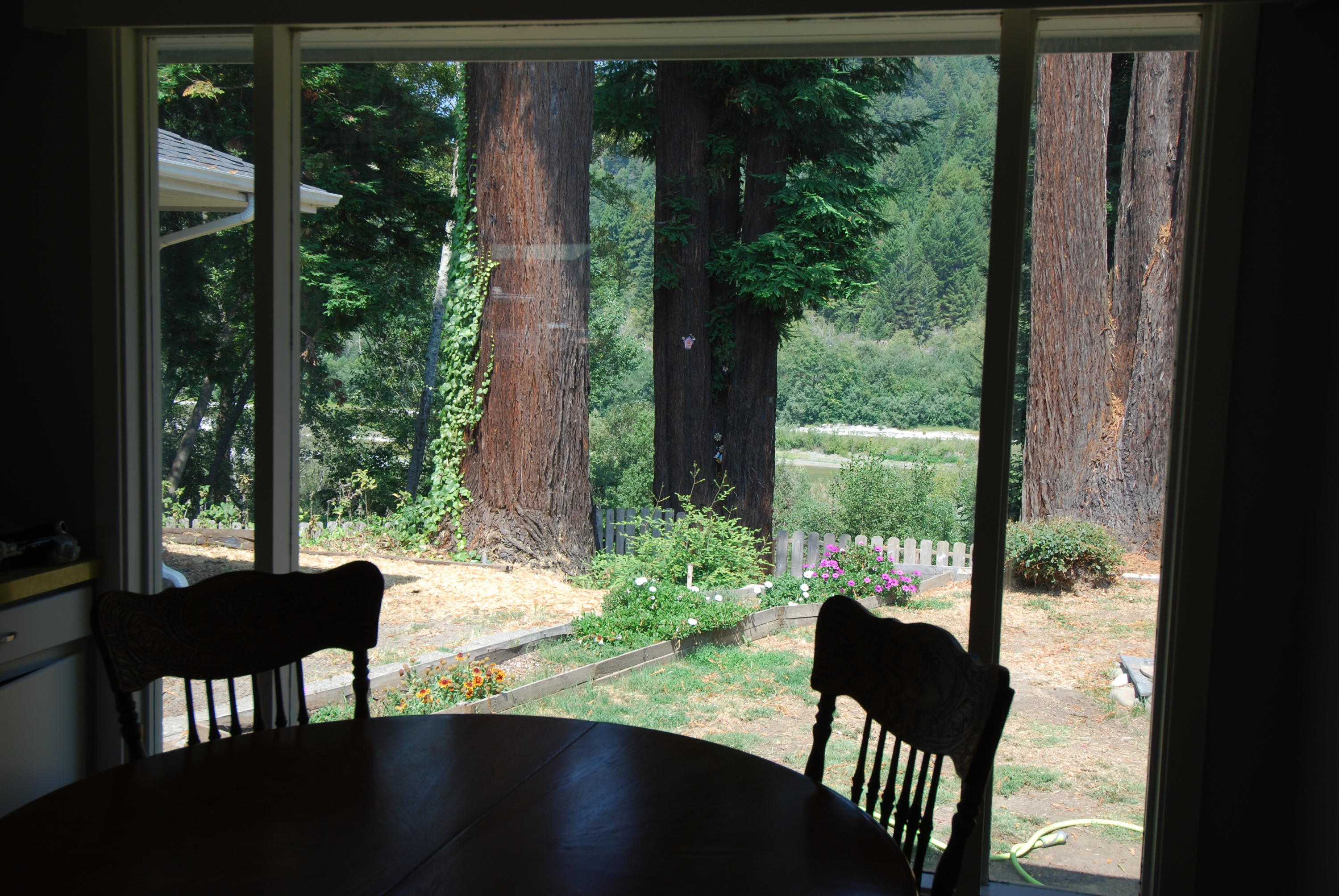 1173 Riverside Drive Rio Dell, CA 95562 - Photo 7 of 23 River view from kitchen