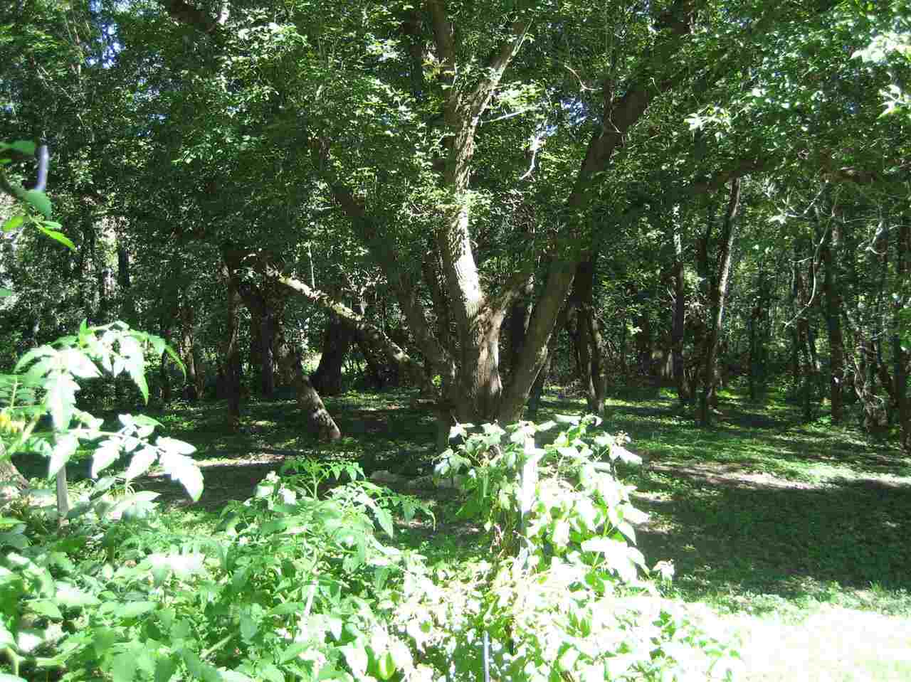 2401 South Watertown Road Oregon, IL 61061 - Photo 21 of 24 a backyard of a house with lots of green space and garden