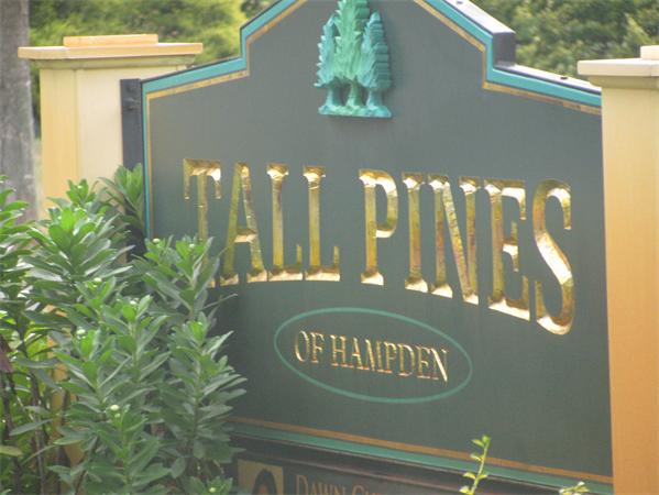 81 Tall Pines Road, Unit 10 Hampden, MA 01036 - Photo 17 of 17 Gallery Image 17