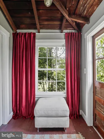 a view of a backyard with plants and a large tree
