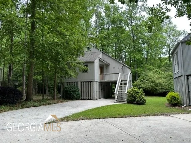 a view of a backyard with plants and large trees