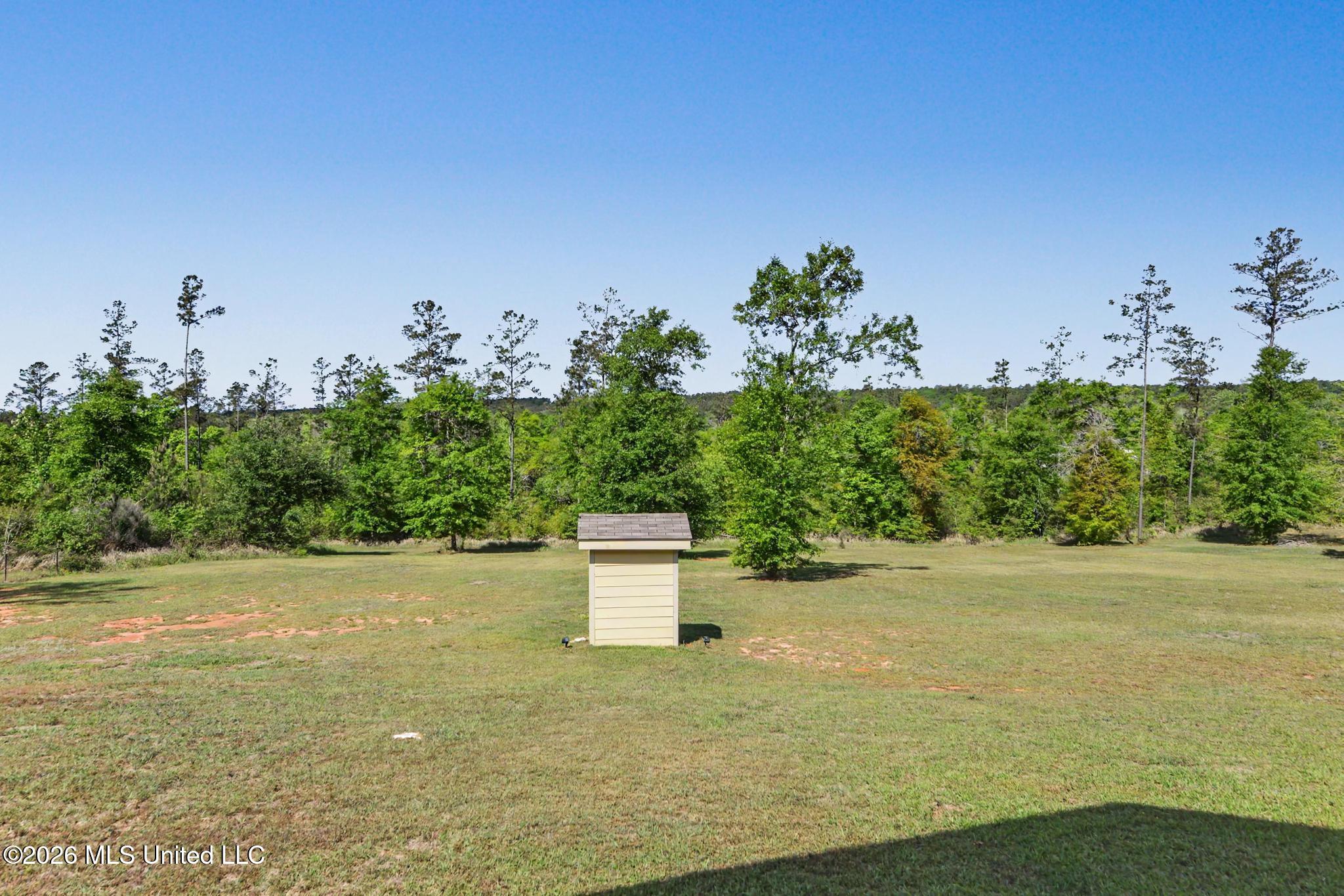 140 Leslie Williams Road Lucedale, MS 39452 - Photo 23 of 29 Back Yard