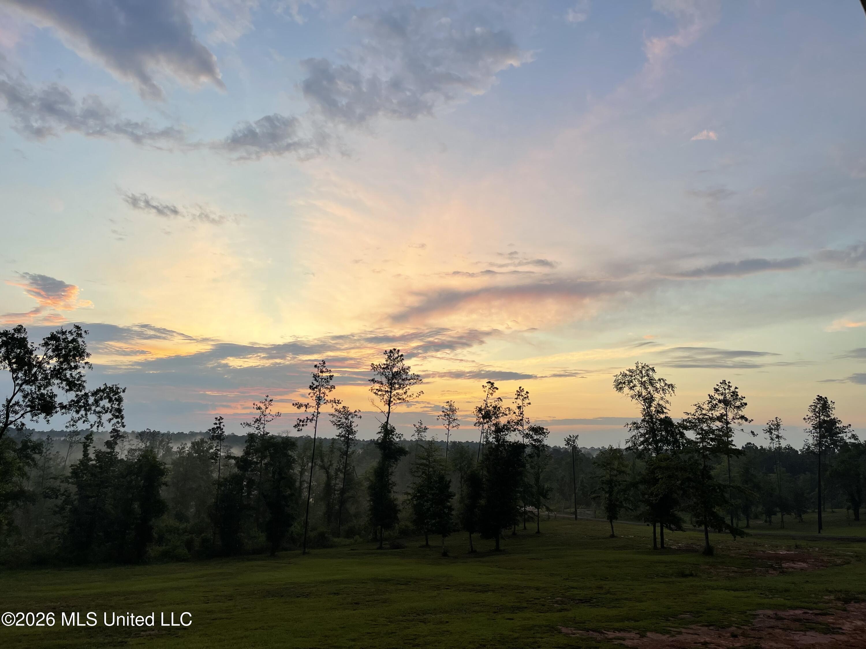 140 Leslie Williams Road Lucedale, MS 39452 - Photo 26 of 29 S1