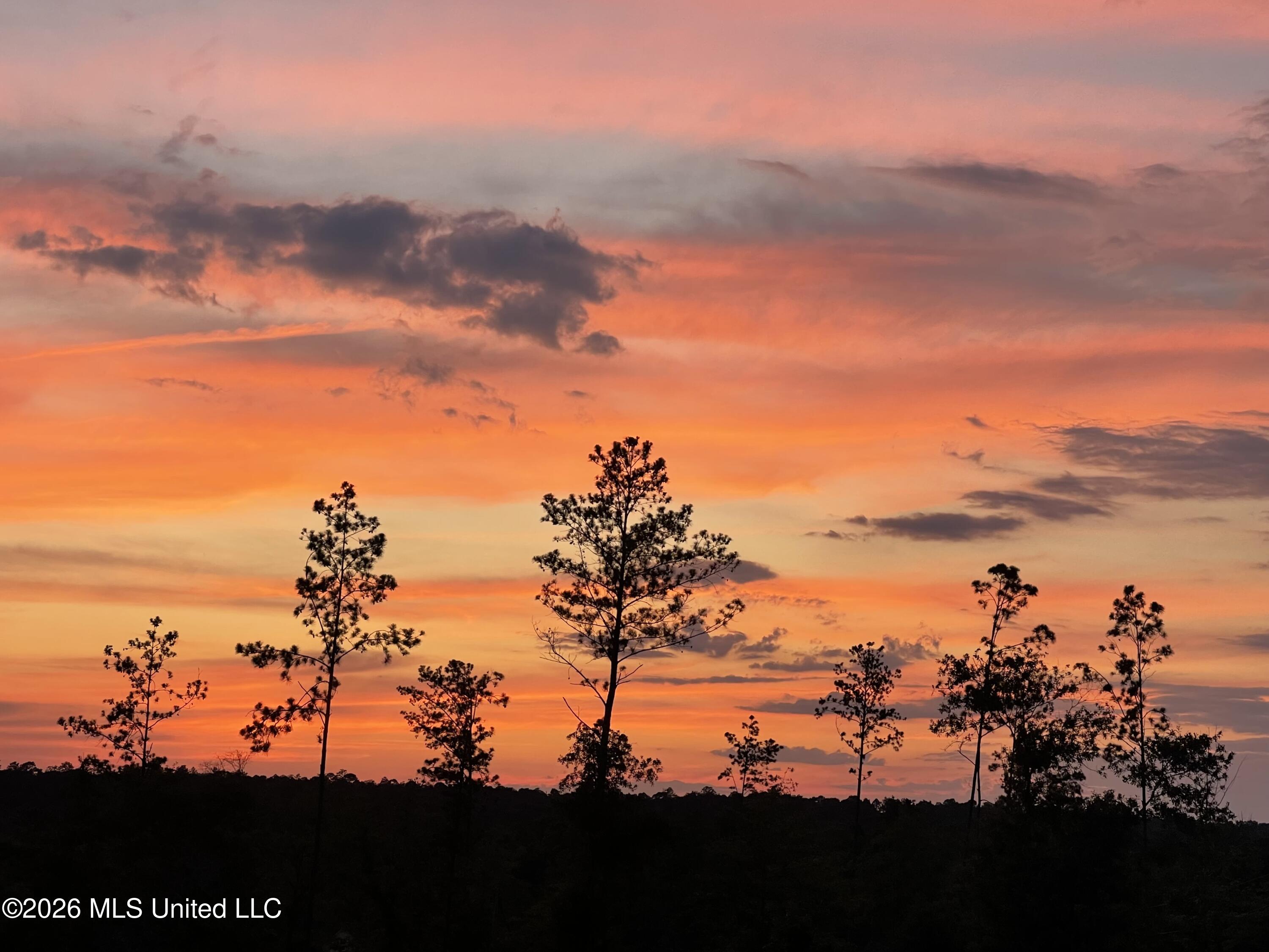 140 Leslie Williams Road Lucedale, MS 39452 - Photo 28 of 29 S3