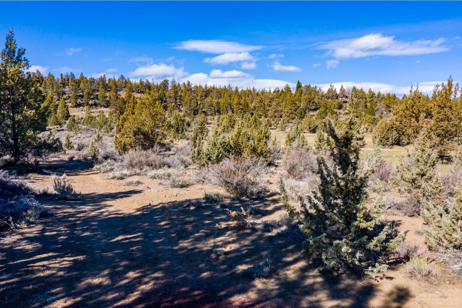 65233 Smokey Butte Road Bend, OR 97703 - Photo 11 of 15 Additional Photo