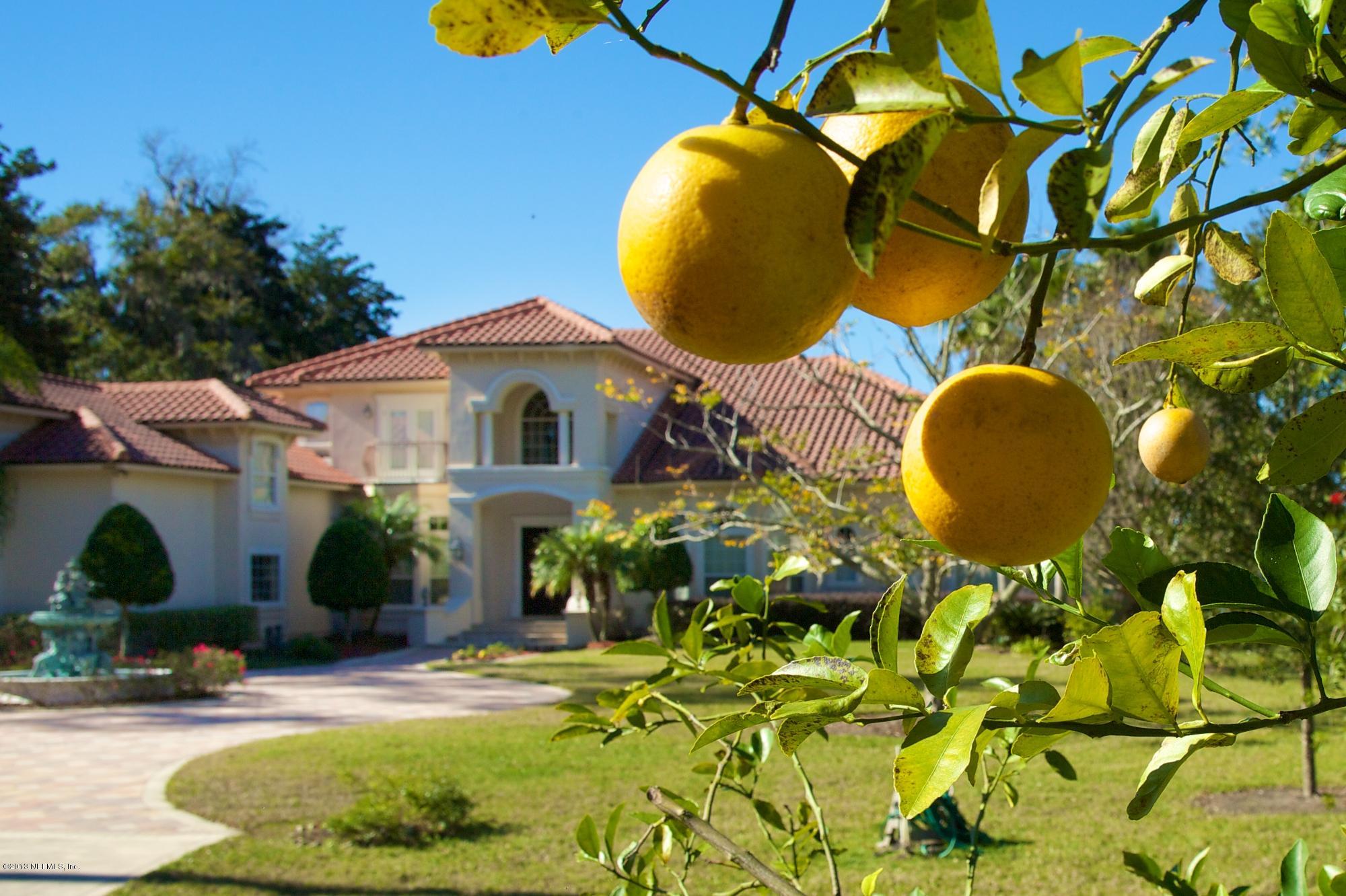12946 Mandarin Road Jacksonville, FL 32223 - Photo 67 of 67 Fruit Trees