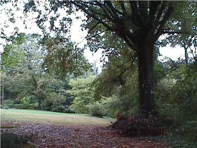 0 Ridgeside Road Chattanooga, TN 37411 - Photo 1 of 1 Primary Photo