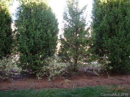 7475 Bluff Point Lane Denver, NC 28037 - Photo 3 of 4