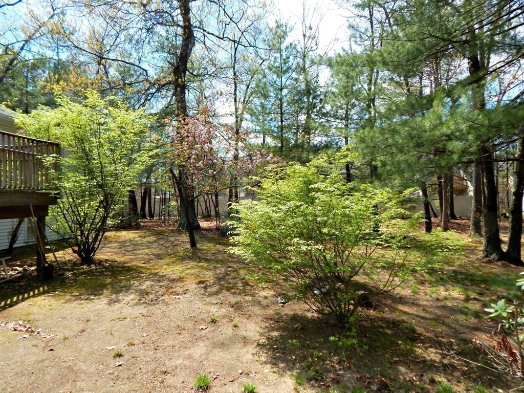 174 Ayer Road Shirley, MA 01464 - Photo 18 of 30 a fire hydrant in the middle of a field