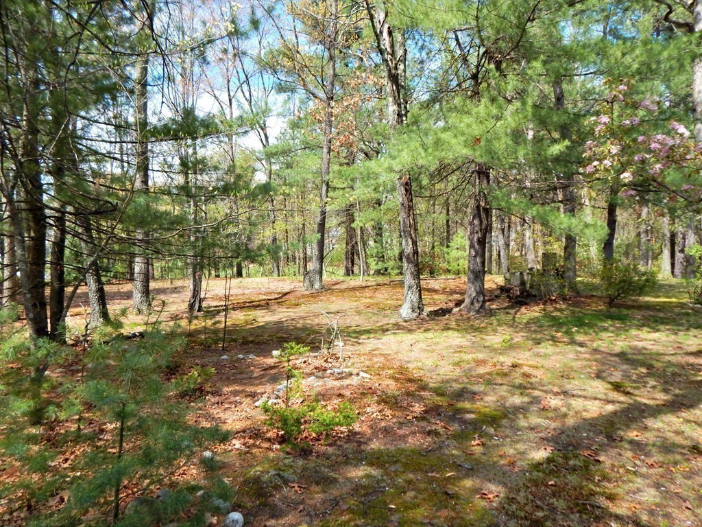 174 Ayer Road Shirley, MA 01464 - Photo 22 of 30 a view of yard with trees
