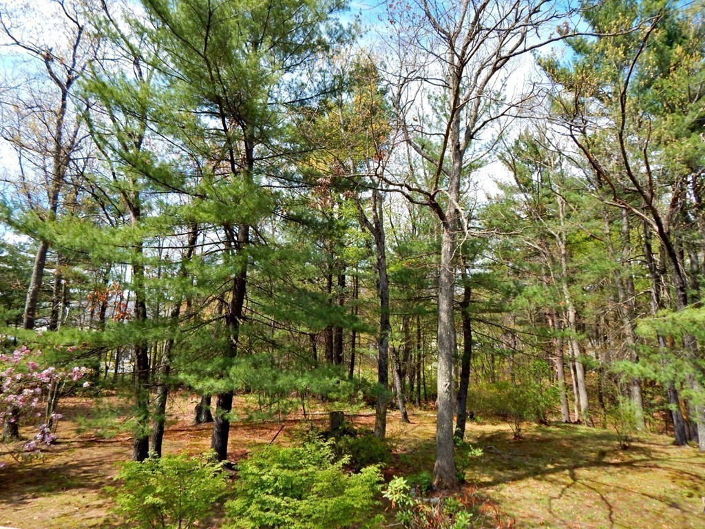 174 Ayer Road Shirley, MA 01464 - Photo 24 of 30 a view of yard