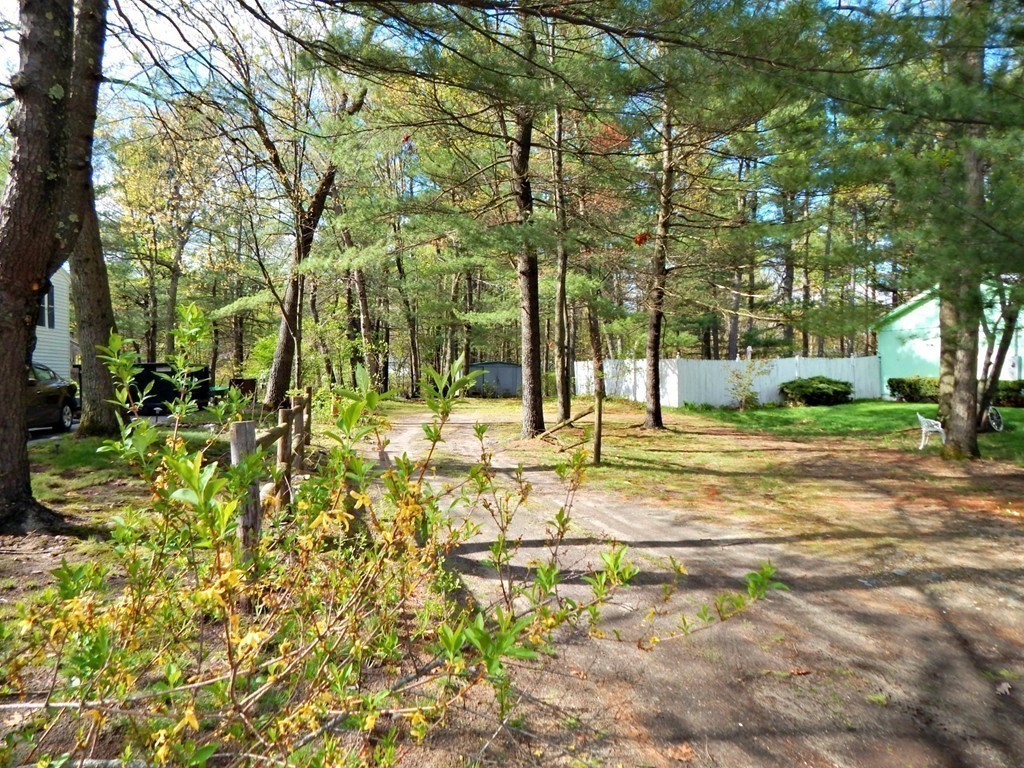 174 Ayer Road Shirley, MA 01464 - Photo 29 of 30 a view of yard with tree s