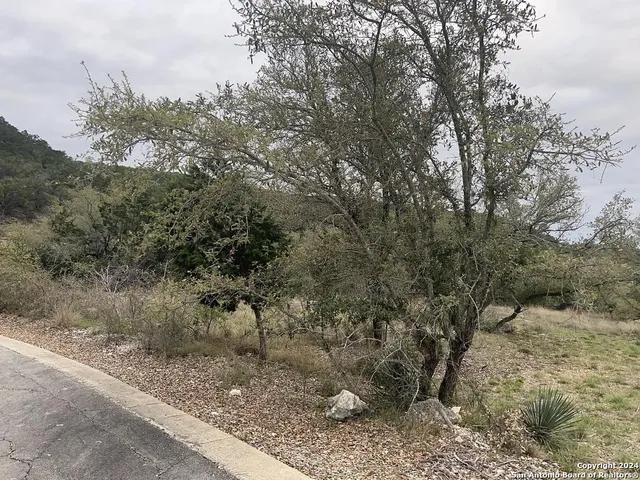 $115,000 | 863 Private Road 1742, Mico, TX 78056
