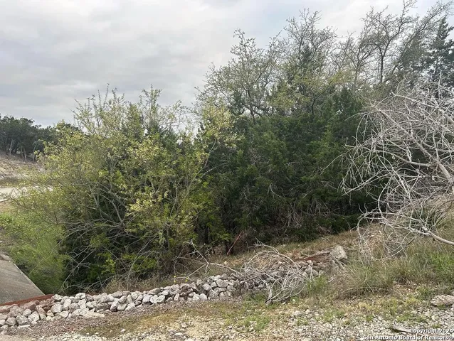 $115,000 | 863 Private Road 1742, Mico, TX 78056