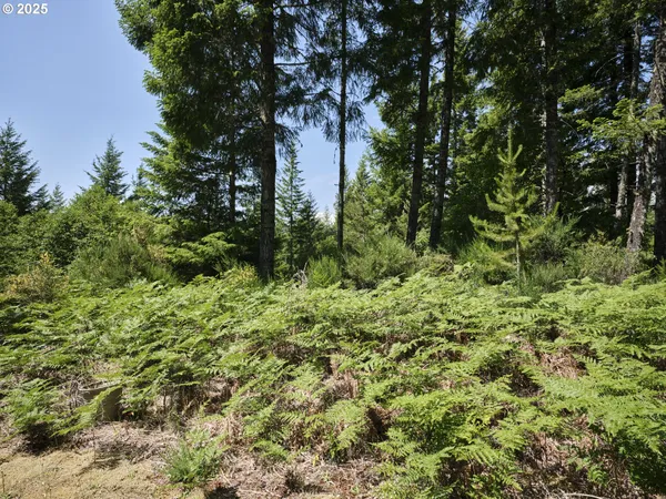 a wooden bench sitting in the middle of a forest