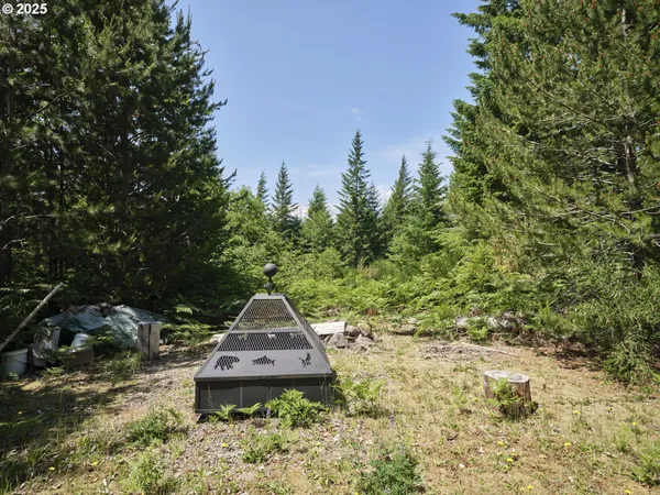 a view of house with a yard