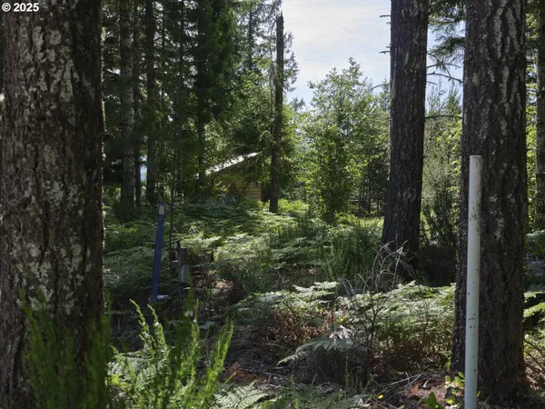 a view of outdoor space and green space