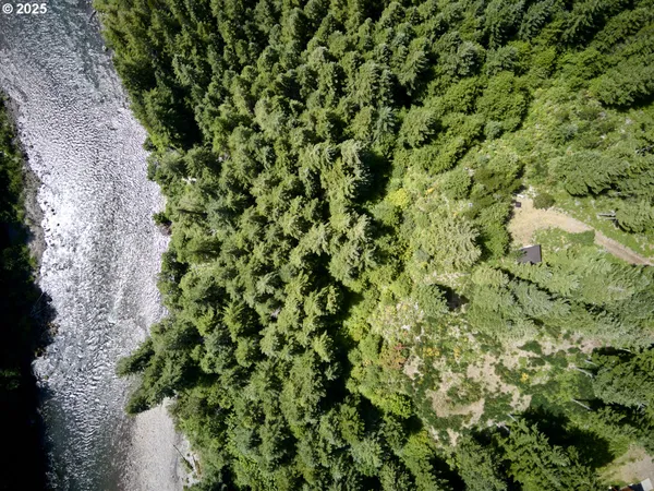 a view of a lush green forest with trees