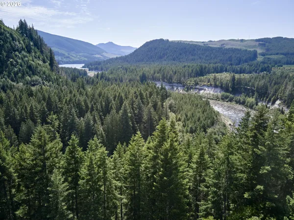 $325,000 | Phyllis Block Ann Court, Cougar, WA 98616