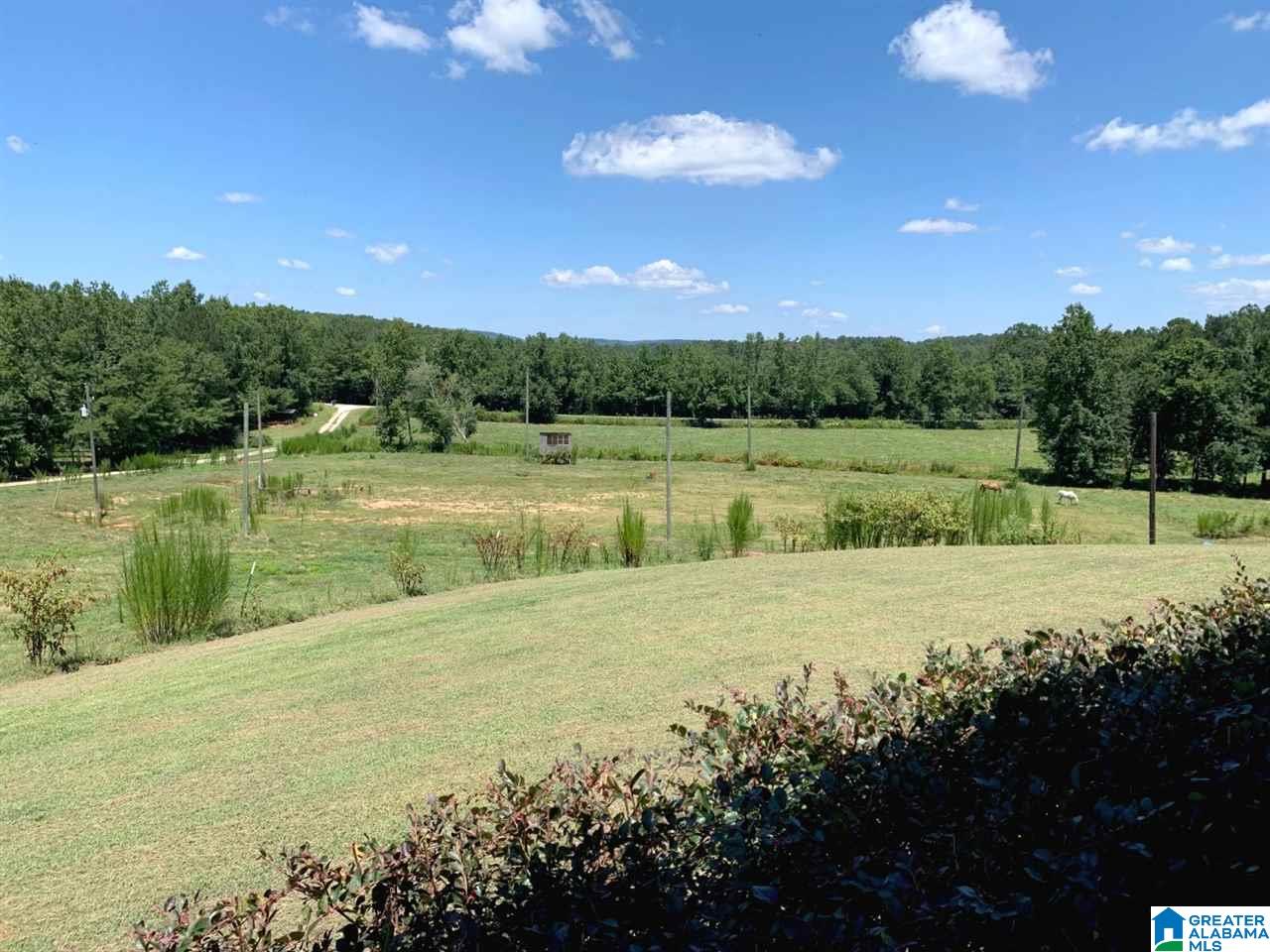 470 Mcvey Road Lineville, AL 36266 - Photo 21 of 26