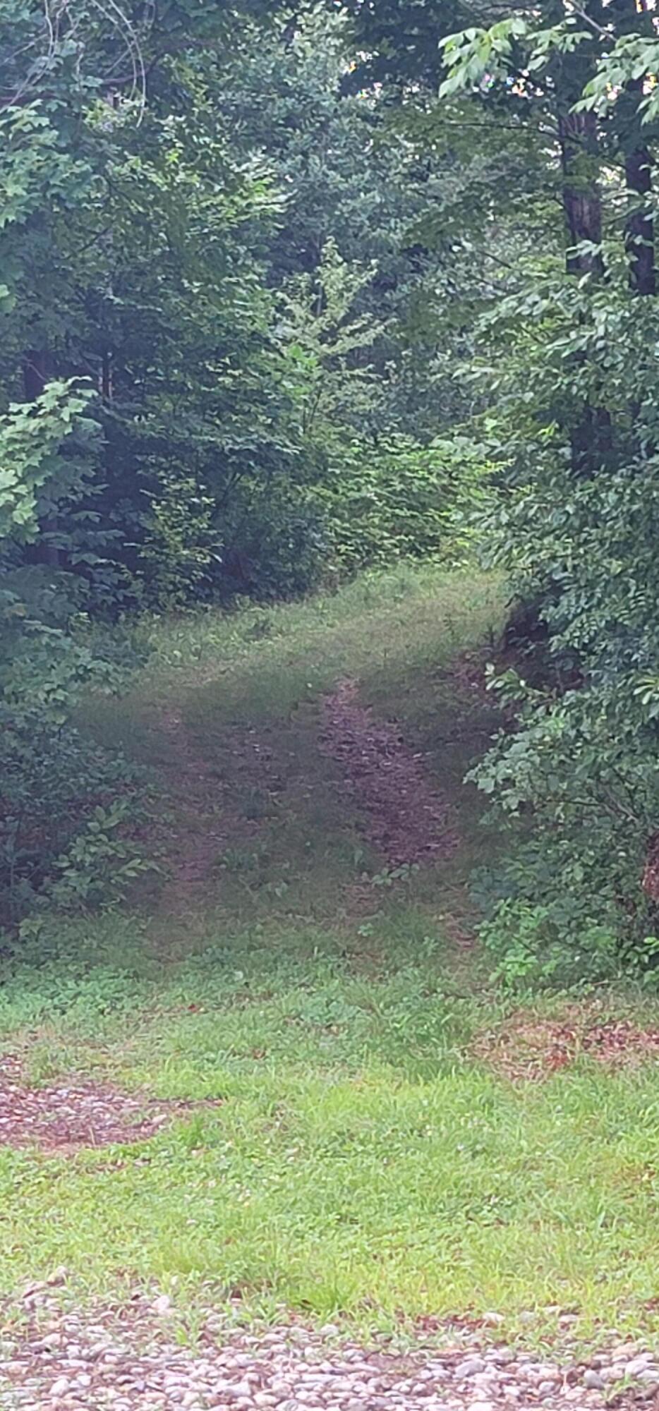 921 Roxbury Road Mexico, ME 04257 - Photo 72 of 76 20250725_115801