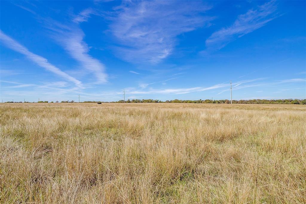 0 County Road 410 Road Alvarado, TX 76009 - Photo 9 of 12 Expansive open field with natural vegetation and a clear blue sky