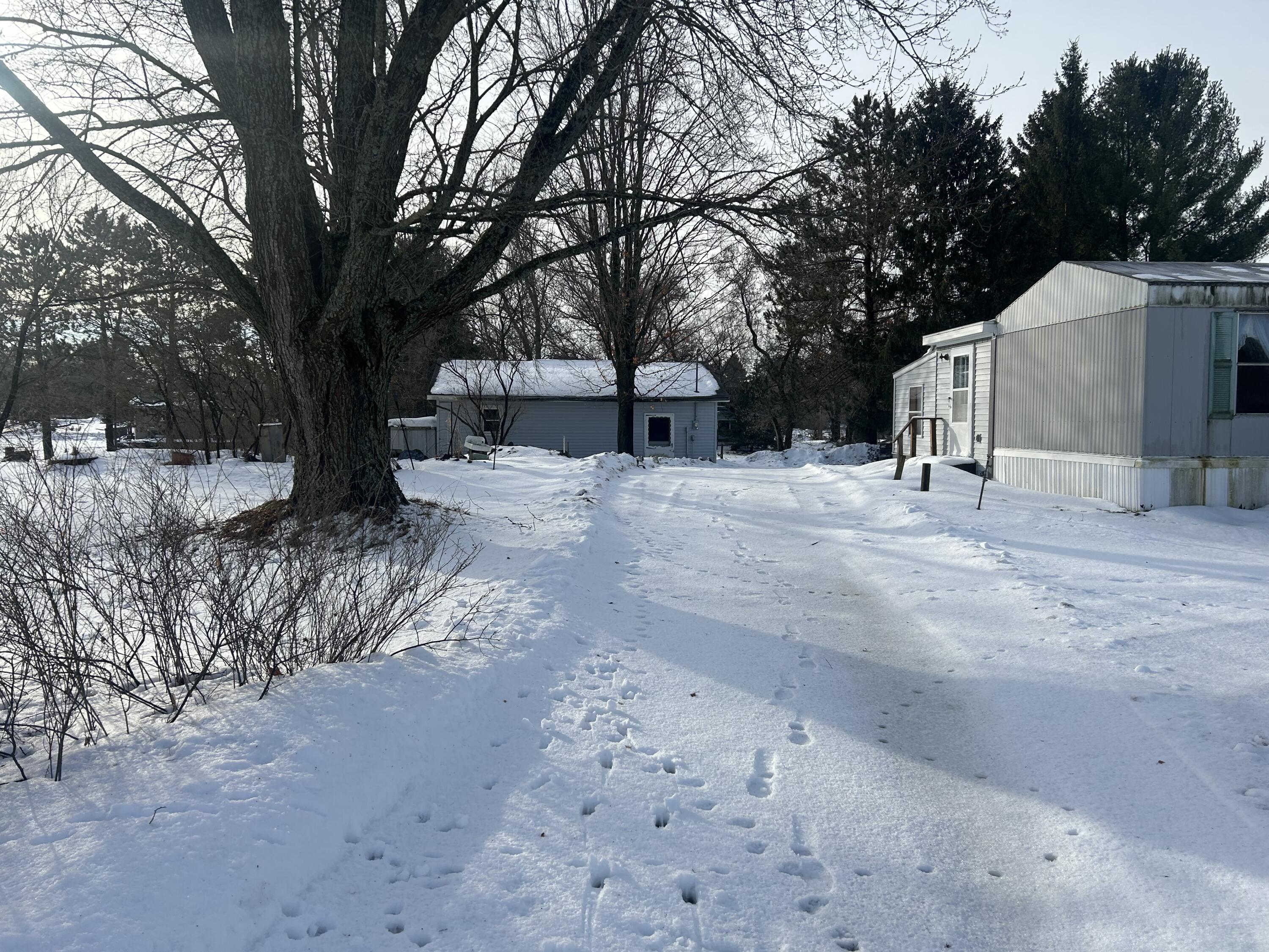 914 Chase Street Luther, MI 49656 - Photo 3 of 20 IMG_5085