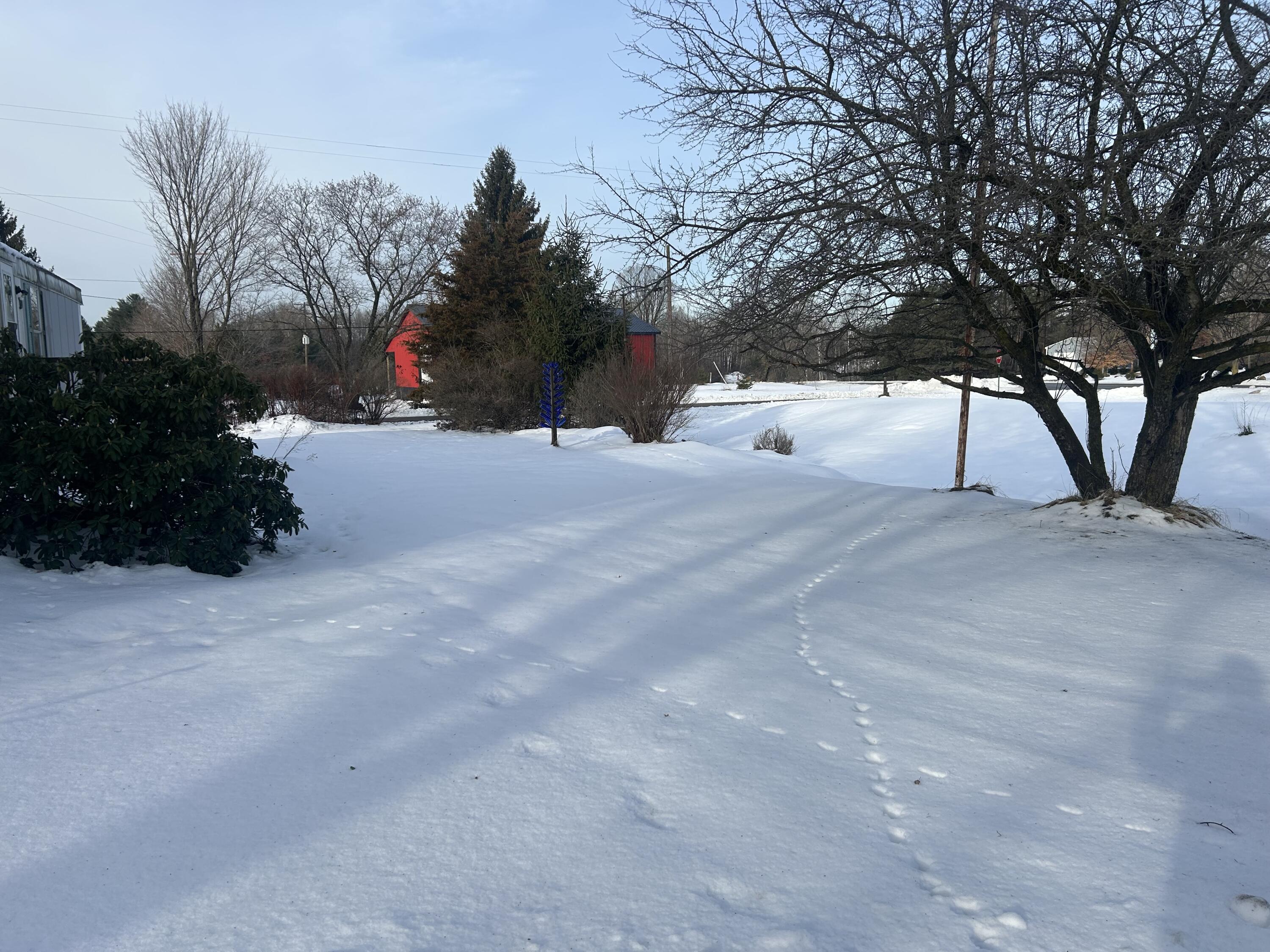 914 Chase Street Luther, MI 49656 - Photo 9 of 20 IMG_5083