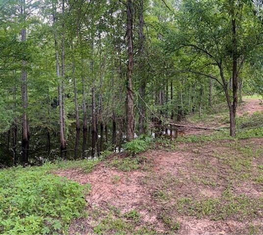 285 Farenzie Road Colfax, LA 71417 - Photo 5 of 6