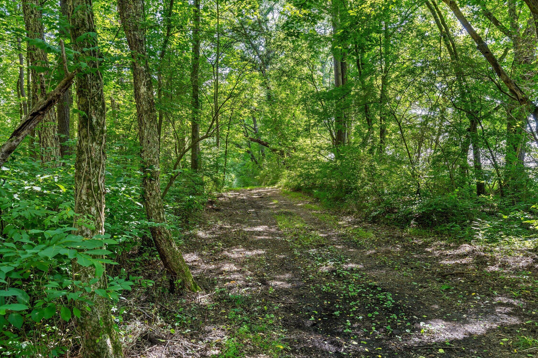 0 Hildabrand Road Ocoee, TN 37361 - Photo 21 of 46 09-Old Federal Rd-2