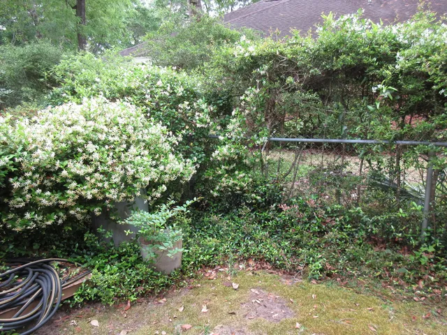 $3,100 | Undisclosed Address, Niceville, FL 32578