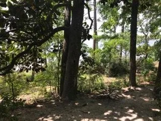 $3,100 | Undisclosed Address, Niceville, FL 32578