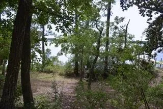 $3,100 | Undisclosed Address, Niceville, FL 32578