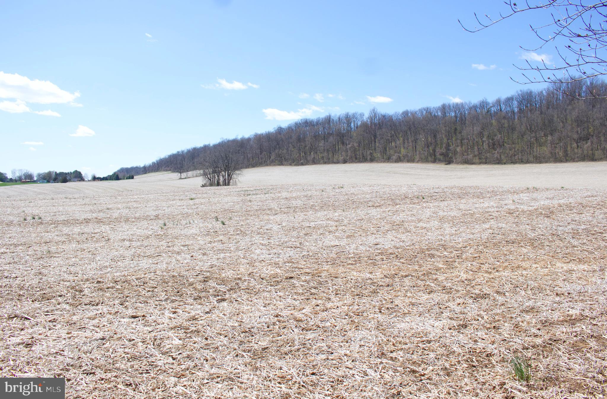 3872 Cold Storage Road New Bloomfield, PA 17068 - Photo 125 of 126 Gallery Image 125