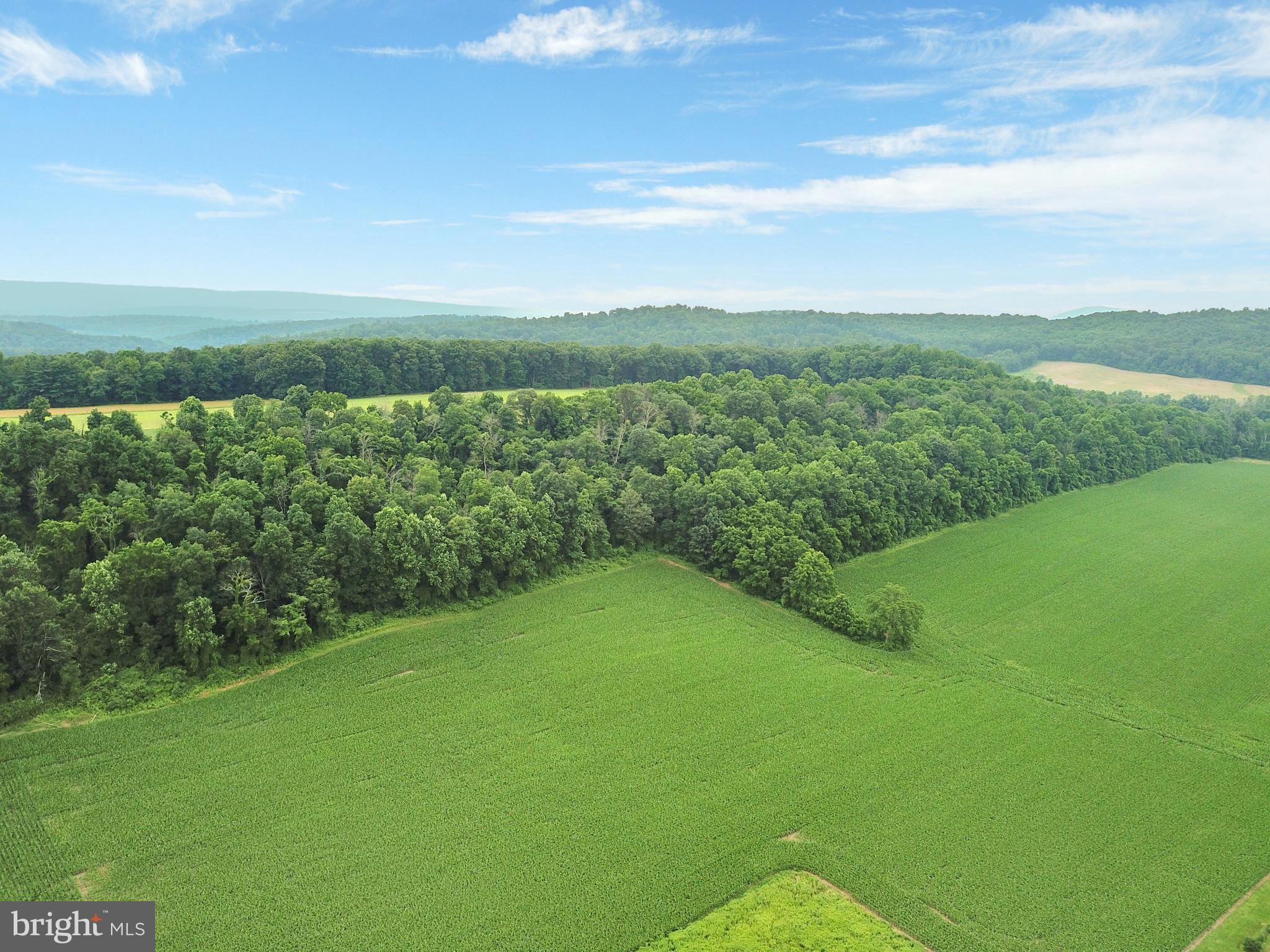 3872 Cold Storage Road New Bloomfield, PA 17068 - Photo 10 of 126 Gallery Image 10