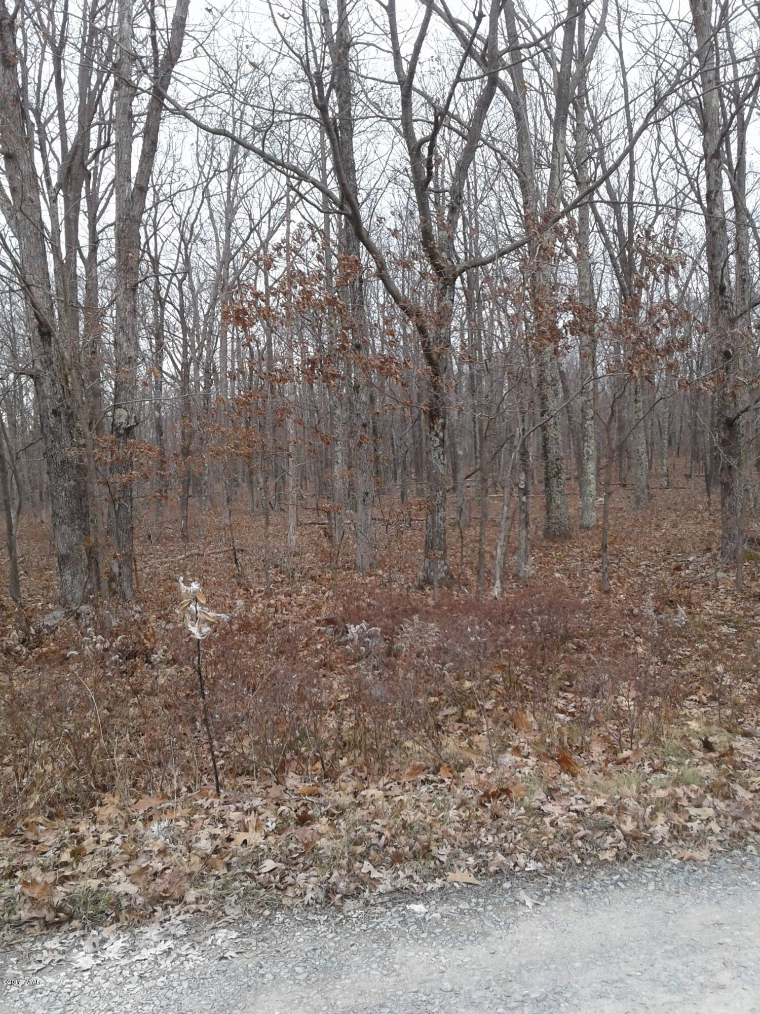 11 Bloss Road Canadensis, PA 18325 - Photo 4 of 6