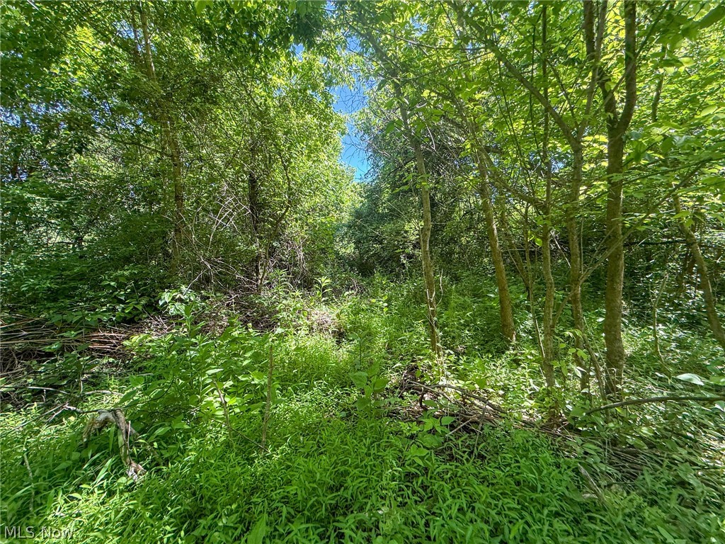Lot 2 Altamont Road Mingo Junction, OH 43938 - Photo 6 of 26 Gallery Image 6
