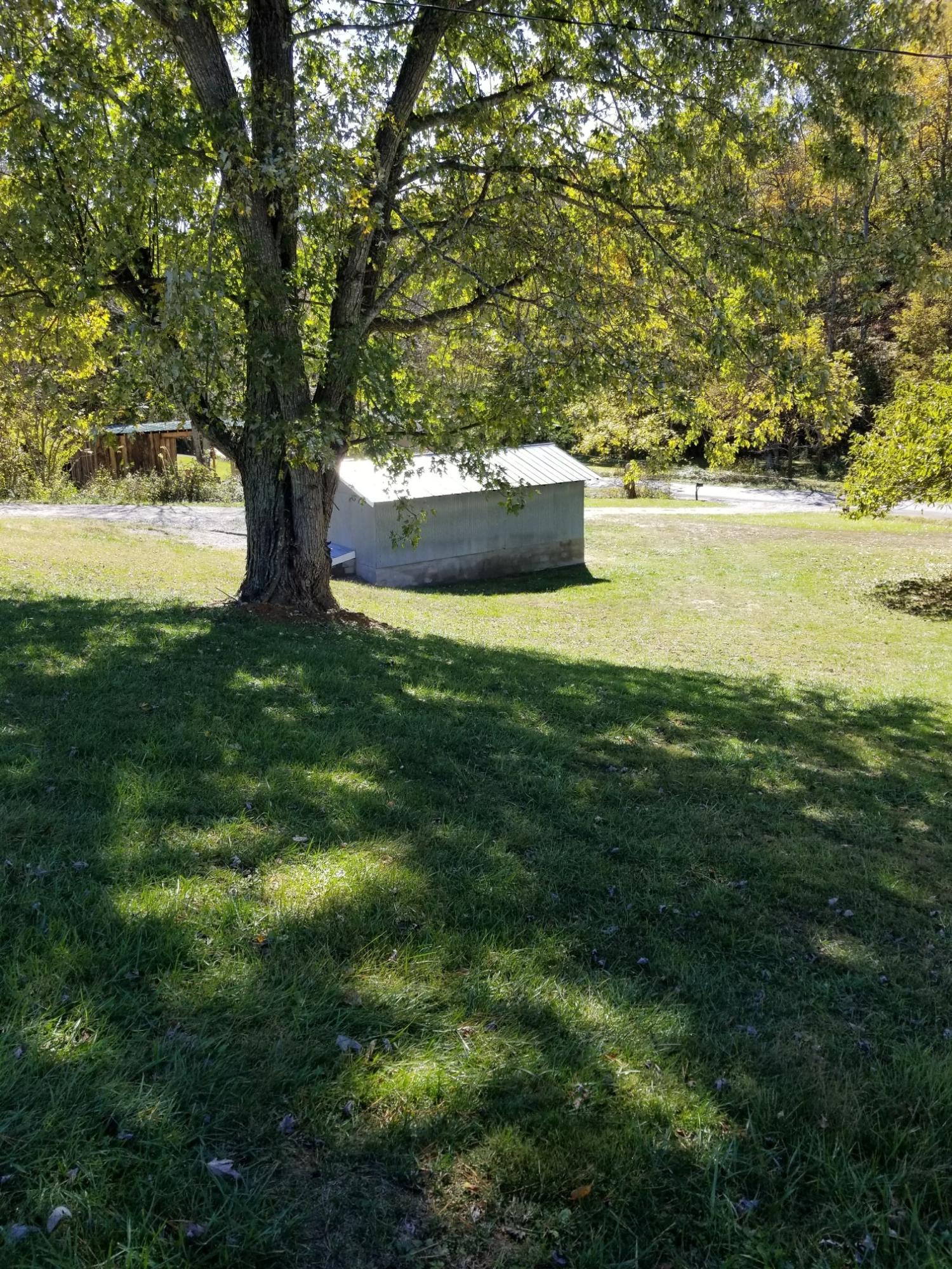 2052 Buffalo Road Buchanan, VA 24066 - Photo 6 of 15 6