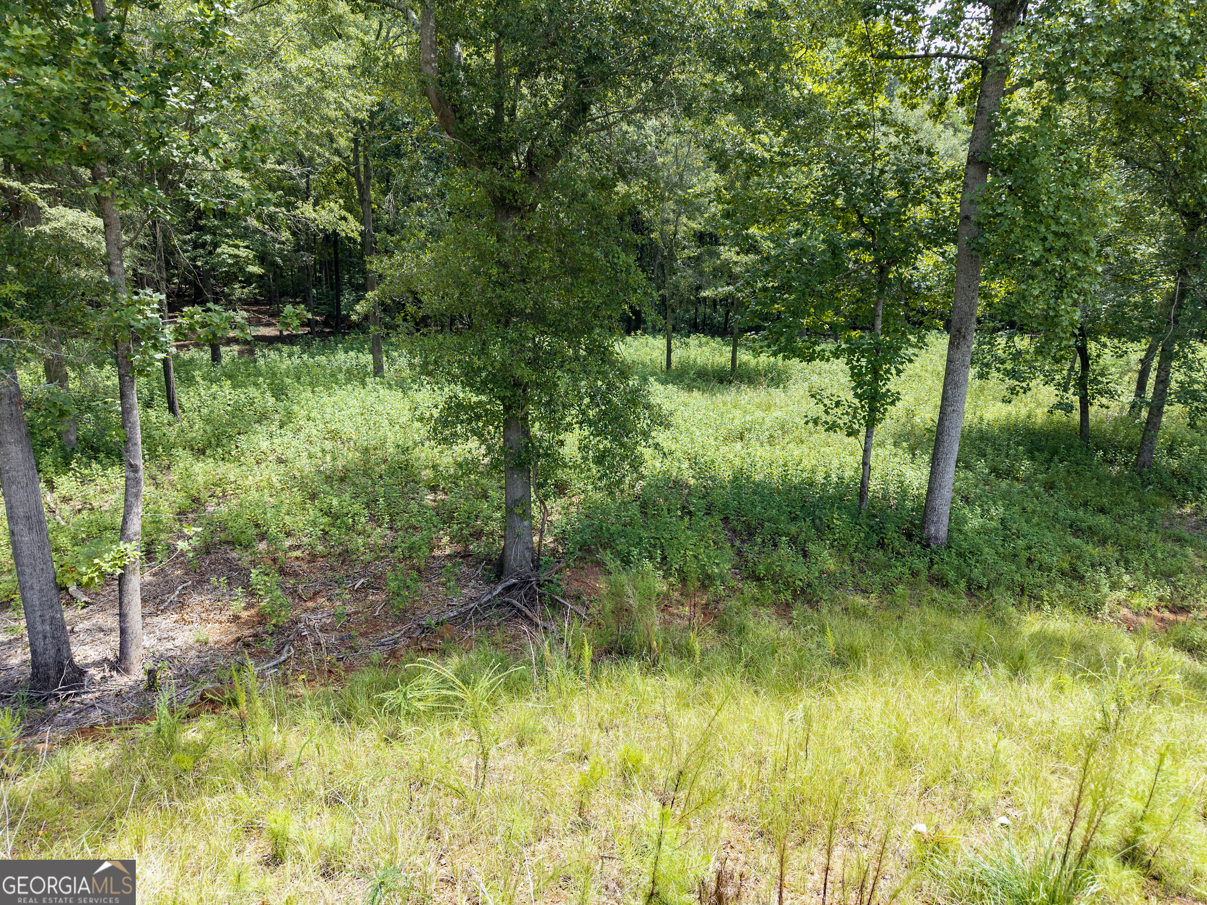 1847 Olympus Court Athens, GA 30606 - Photo 12 of 27