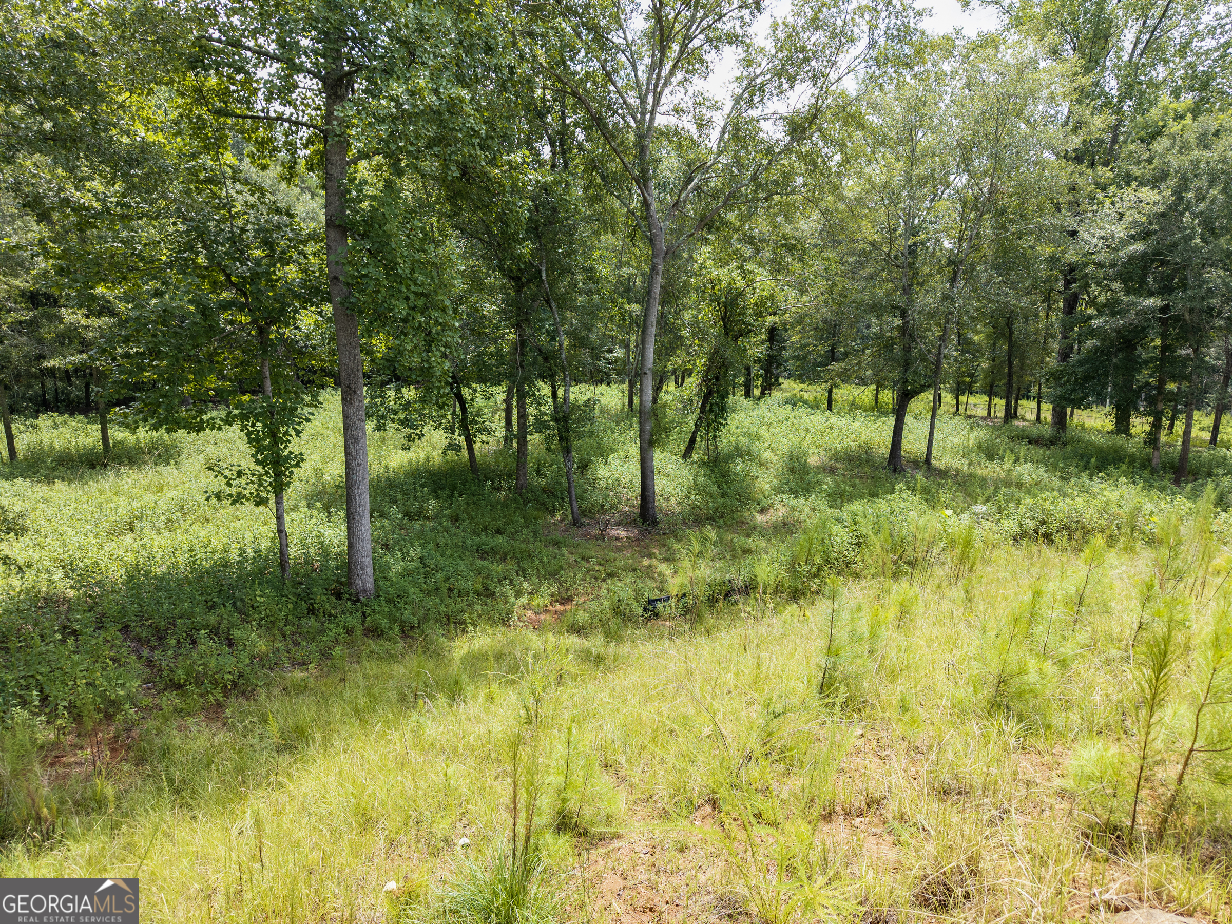 1847 Olympus Court Athens, GA 30606 - Photo 7 of 27