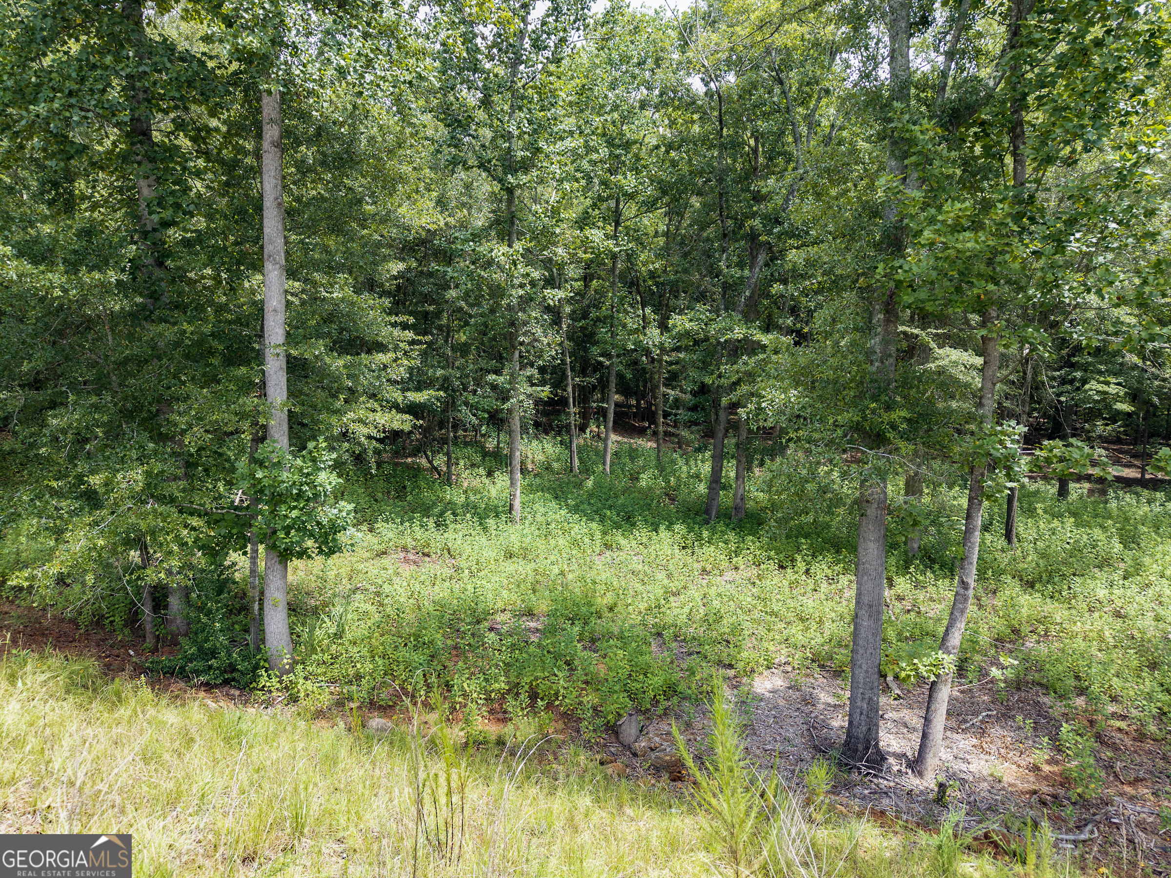 1847 Olympus Court Athens, GA 30606 - Photo 8 of 27