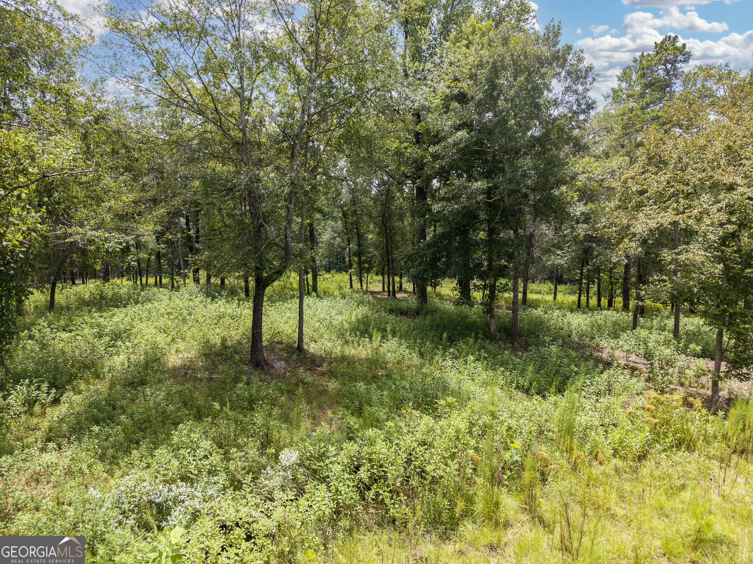 1847 Olympus Court Athens, GA 30606 - Photo 9 of 27