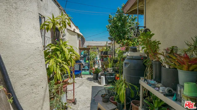 a view of a potted plants on a patio