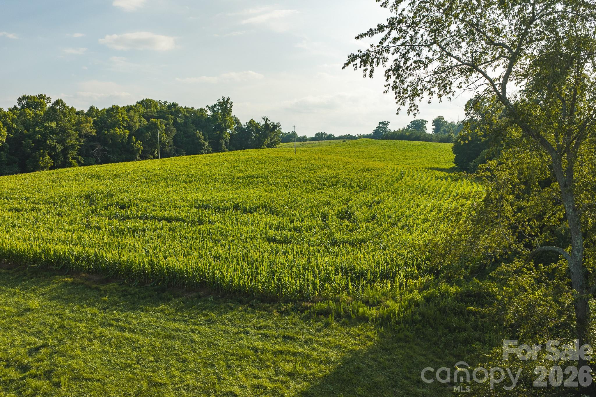Tbd Sandbar Road Granite Falls, NC 28630 - Photo 26 of 43