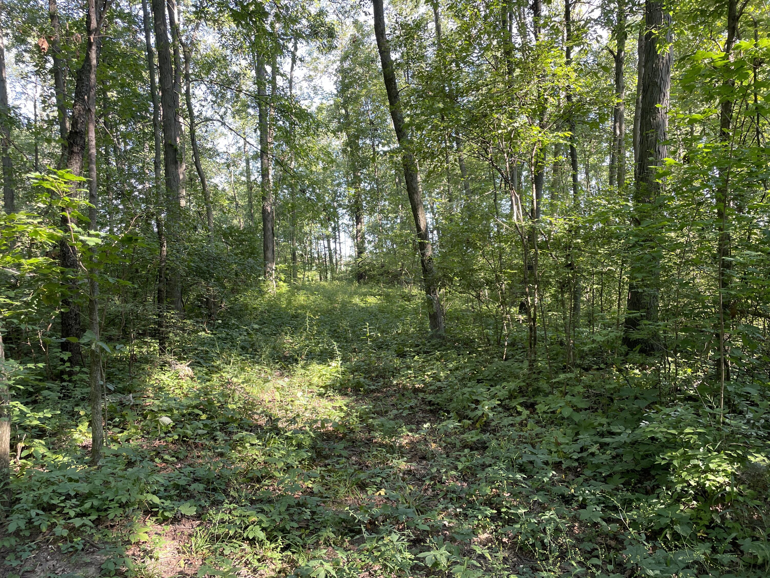 0 Perry Road Cable, OH 43009 - Photo 12 of 28