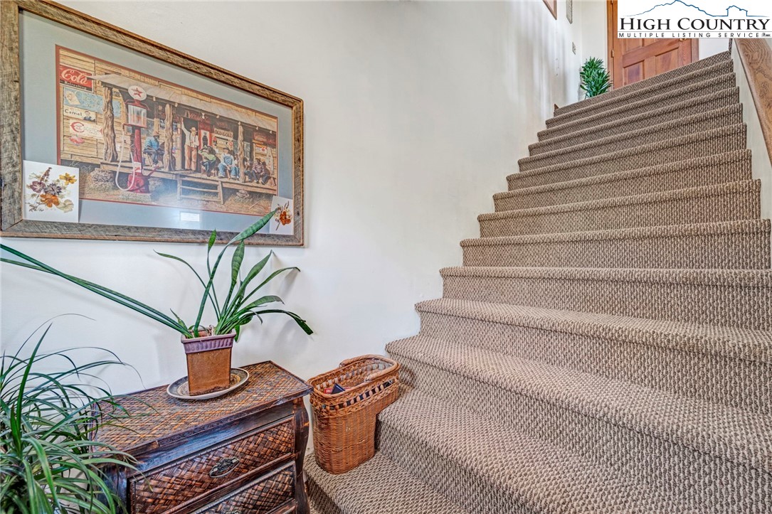 540 Mountain Farm Road Boone, NC 28607 - Photo 30 of 46 a view of entryway with a potted plant