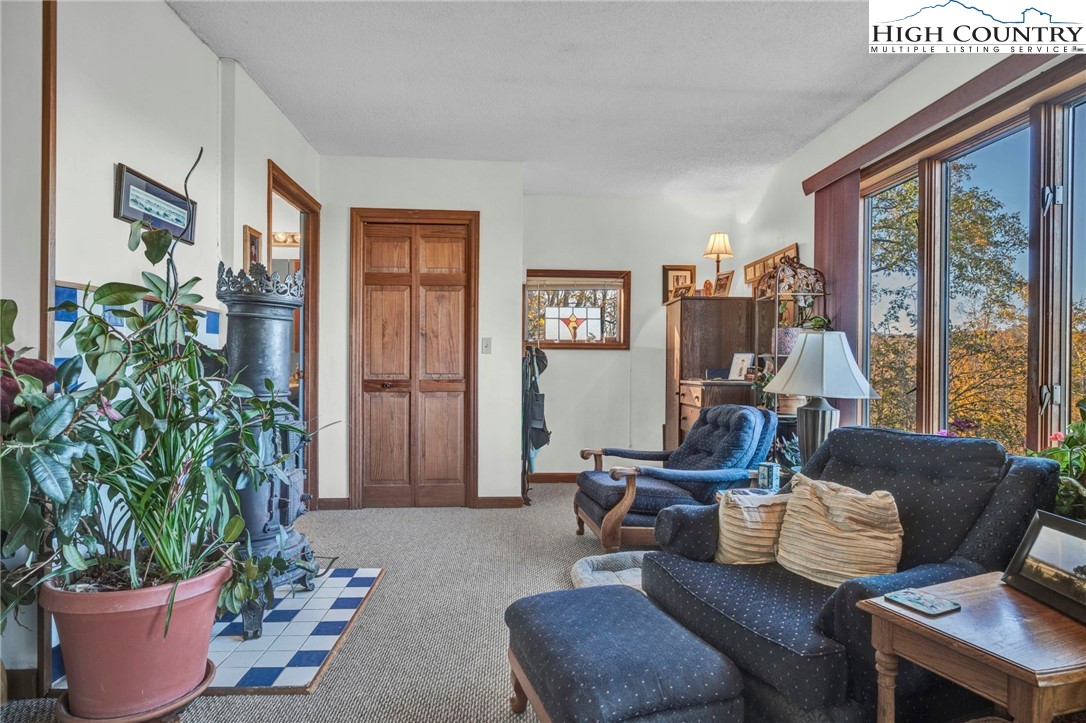 540 Mountain Farm Road Boone, NC 28607 - Photo 32 of 46 a living room with furniture and a potted plant