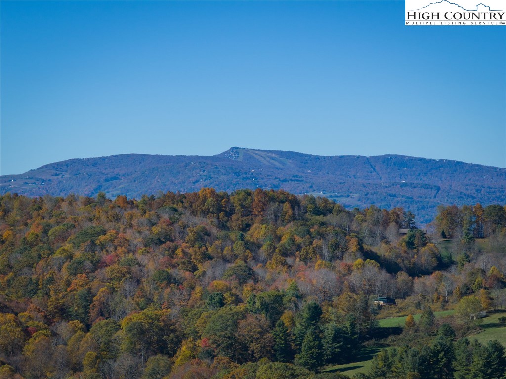 540 Mountain Farm Road Boone, NC 28607 - Photo 5 of 46 a view of a lush green field with mountains in the background