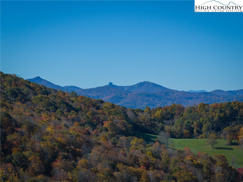 540 Mountain Farm Road Boone, NC 28607 - Photo 6 of 46 a view of a house with a mountain