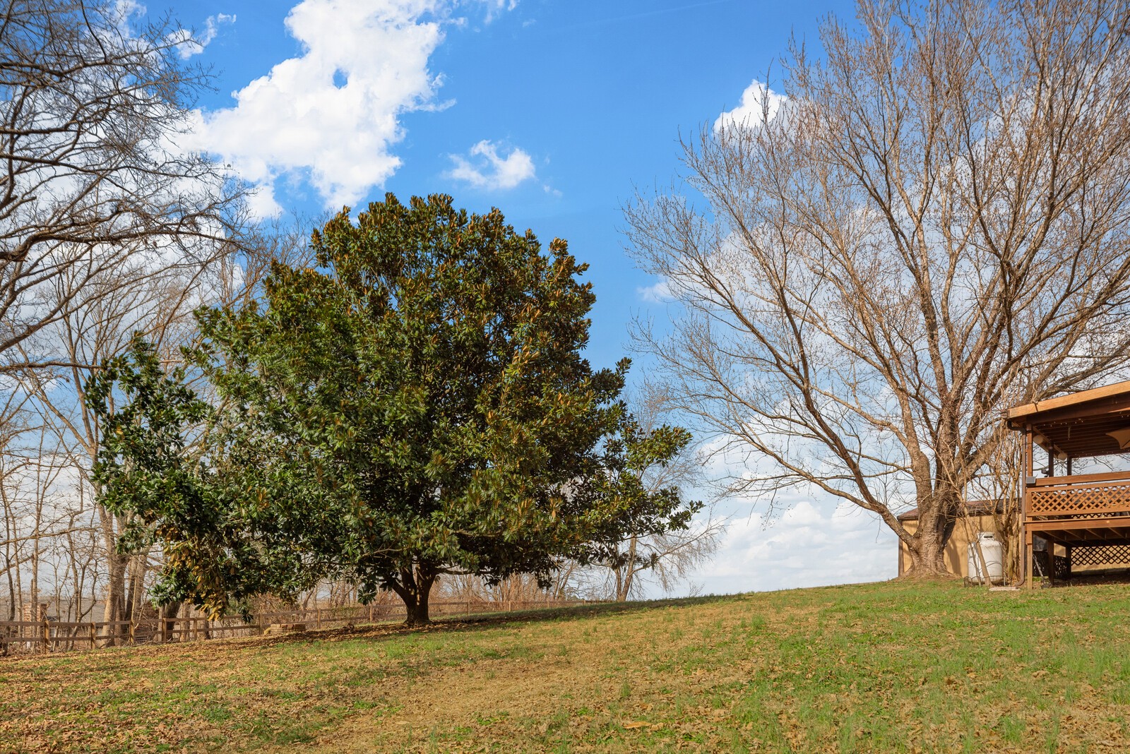 2427 Toler Road Woodlawn, TN 37191 - Photo 42 of 48 a view of a yard with large trees